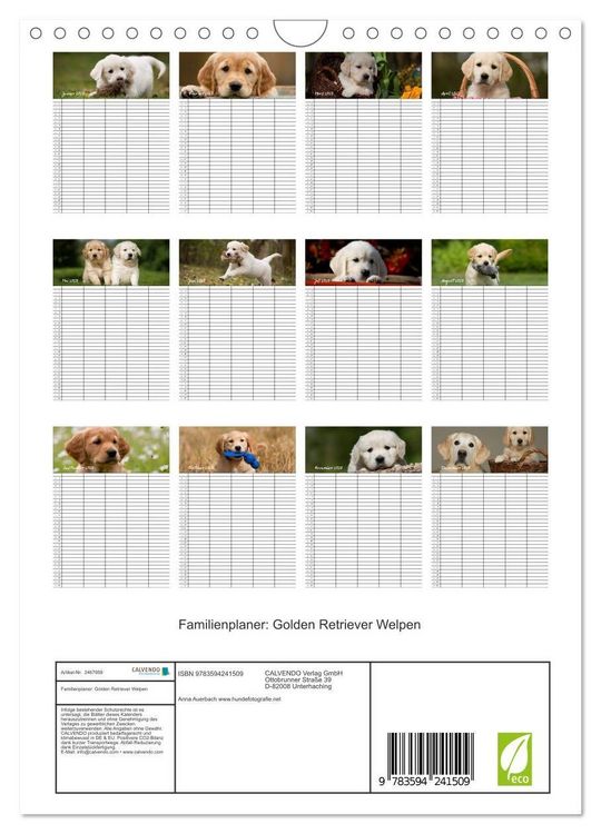 Produktbild: Familienplaner: Golden Retriever Welpen (Wandkalender 2027 DIN A4 hoch), CALVENDO Monatskalender