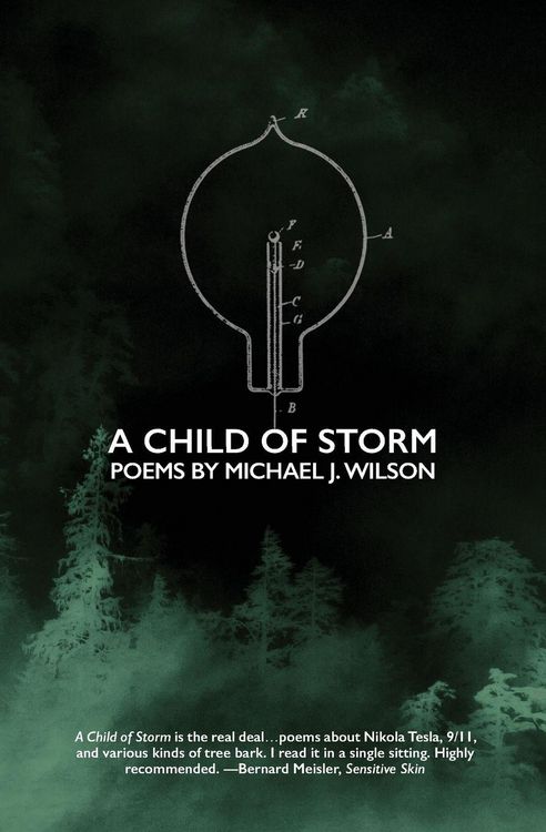Produktbild: A Child of Storm