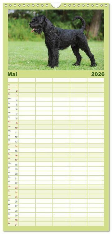 Produktbild: Familienplaner 2026 - Treuer Freund Riesenschnauzer mit 5 Spalten (Wandkalender, 21 x 45 cm) CALVENDO