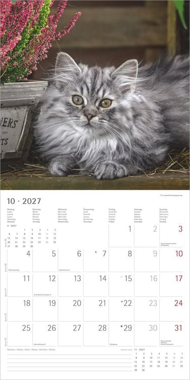 Produktbild: Samtpf&ouml;tchen 2027