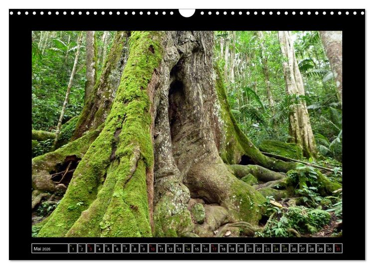Produktbild: Venezuela & Caracas (Wandkalender 2026 DIN A3 quer), CALVENDO Monatskalender