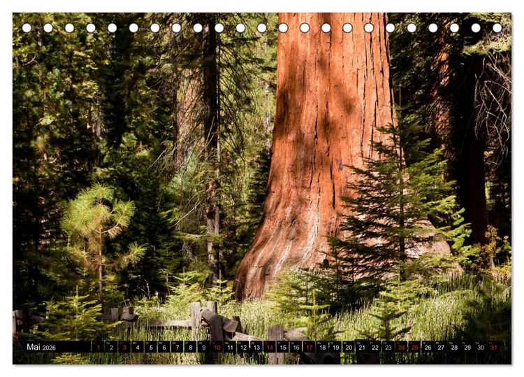 Produktbild: Yosemite - USA (Tischkalender 2026 DIN A5 quer), CALVENDO Monatskalender