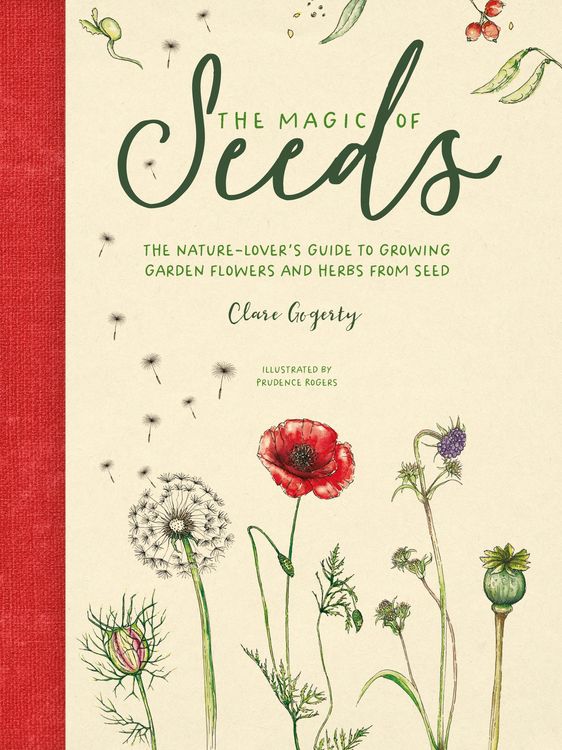 Produktbild: The Magic of Seeds