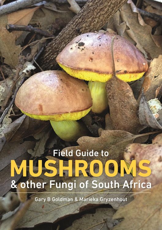 Produktbild: Field Guide to Mushrooms & other Fungi of South Africa