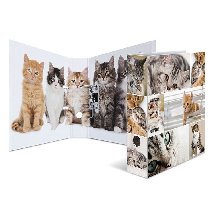 Produktbild: Herma Motiv-Ordner A4 Animals Katzen