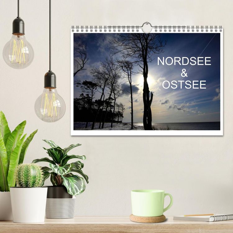 Produktbild: Nordsee & Ostsee (Wandkalender 2026 DIN A4 quer), CALVENDO Monatskalender