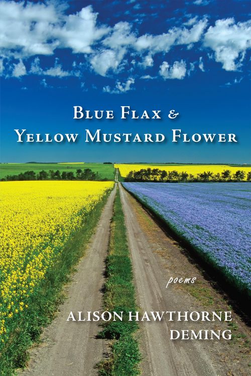 Produktbild: Blue Flax & Yellow Mustard Flower