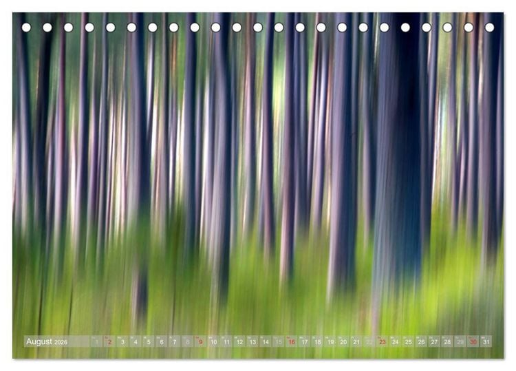 Produktbild: Atelier Wald - gemalt mit Licht (Tischkalender 2026 DIN A5 quer), CALVENDO Monatskalender