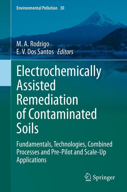 Produktbild: Electrochemically Assisted Remediation of Contaminated Soils