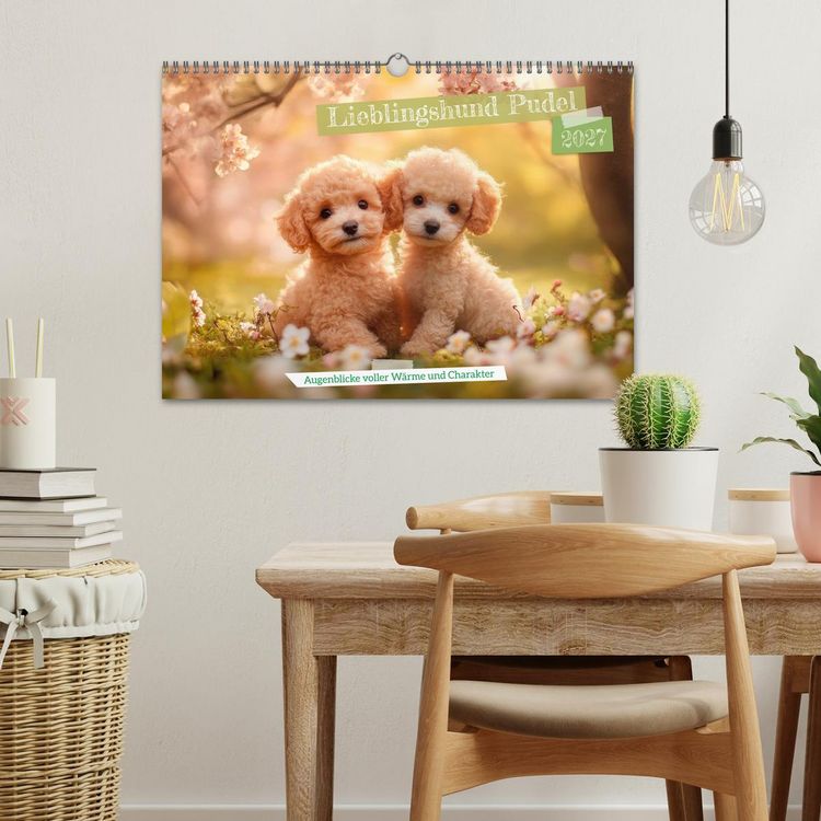 Produktbild: Lieblingshund Pudel (Wandkalender 2027 DIN A3 quer), CALVENDO Monatskalender