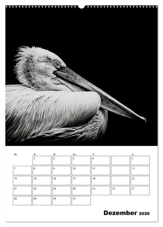Produktbild: Charakterk&ouml;pfe aus der Welt der Tiere (hochwertiger Premium Wandkalender 2026 DIN A2 hoch), Kunstdruck in Hochglanz