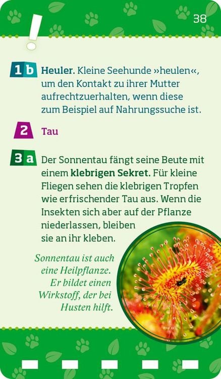 Produktbild: WAS IST WAS Quiz Natur und Tiere