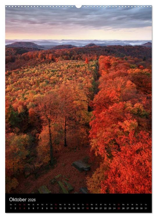 Produktbild: NATURWUNDER PF&Auml;LZERWALD (Wandkalender 2026 DIN A2 hoch), CALVENDO Monatskalender