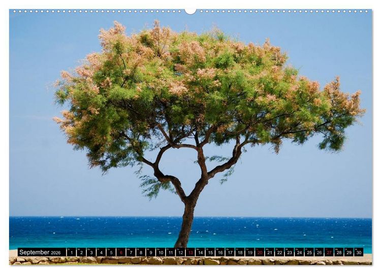 Produktbild: MALLORCA zum VERLIEBEN (hochwertiger Premium Wandkalender 2026 DIN A2 quer), Kunstdruck in Hochglanz