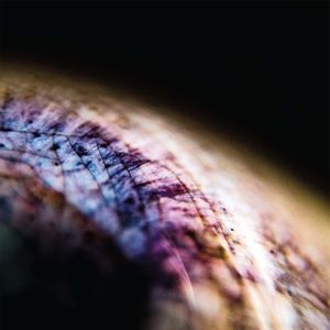 Produktbild: Skin (EP)