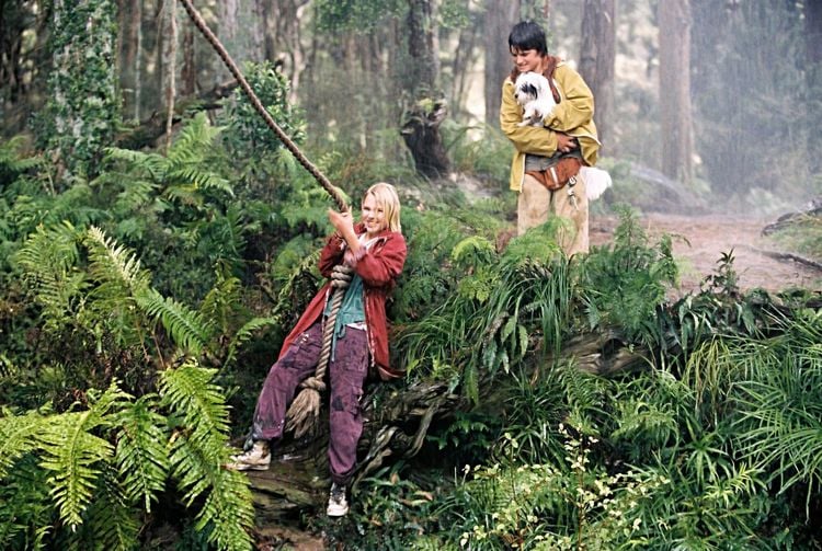 Produktbild: Br&uuml;cke nach Terabithia