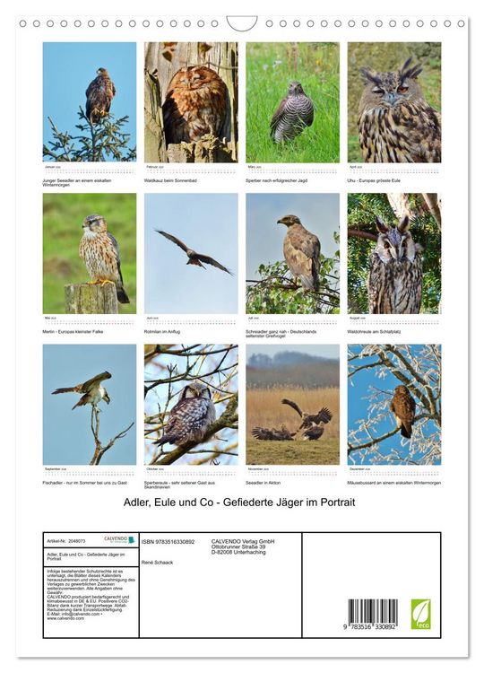 Produktbild: Adler, Eule und Co - Gefiederte J&auml;ger im Portrait (Wandkalender 2026 DIN A3 hoch), CALVENDO Monatskalender