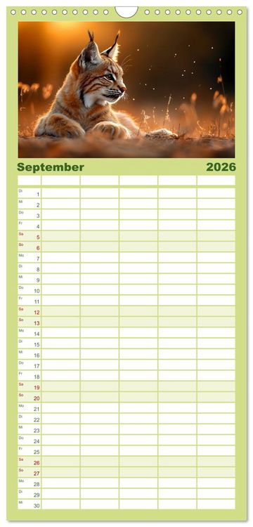 Produktbild: Familienplaner 2026 - Wilde Tierwelt im Wald mit 5 Spalten (Wandkalender, 21 x 45 cm) CALVENDO
