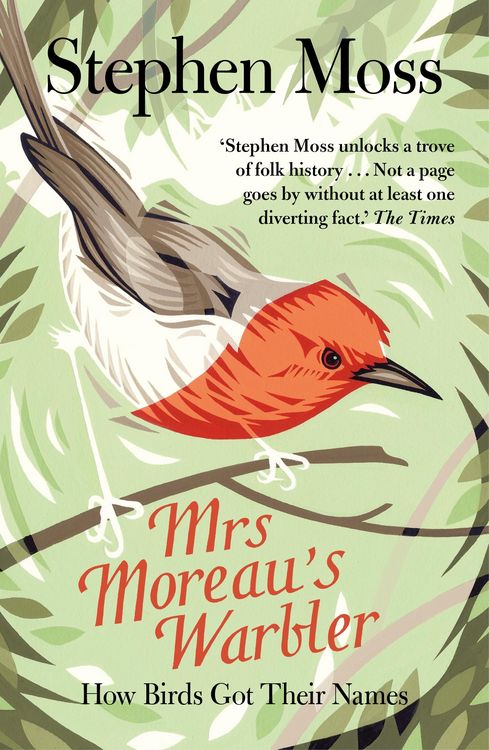 Produktbild: Mrs Moreau's Warbler