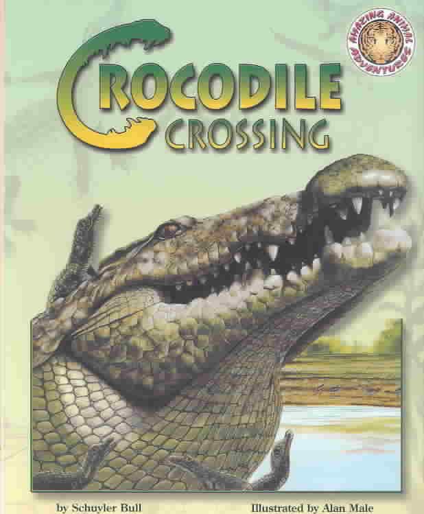Produktbild: Crocodile Crossing
