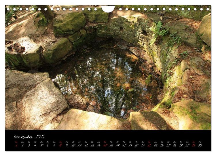 Produktbild: Broc&eacute;liande / Zauberwald der Bretagne (Wandkalender 2026 DIN A4 quer), CALVENDO Monatskalender
