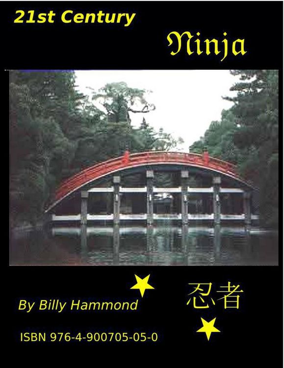 Produktbild: 21st Century Ninja
