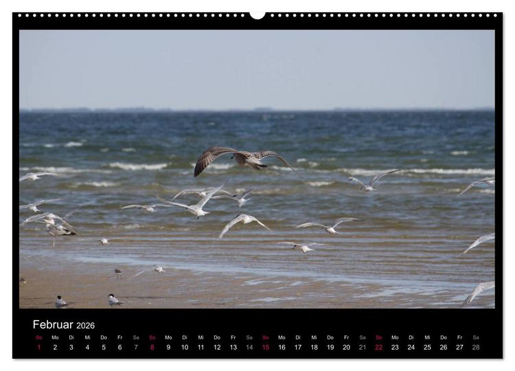Produktbild: Texel, eine Perle Hollands (Wandkalender 2026 DIN A2 quer), CALVENDO Monatskalender