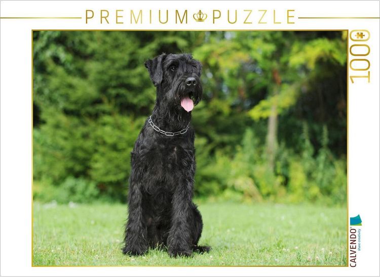 Produktbild: CALVENDO Puzzle Sitzender Riesenschnauzer | 1000 Teile Lege-Gr&ouml;&szlig;e 64x48cm Foto-Puzzle f&uuml;r gl&uuml;ckliche Stunden