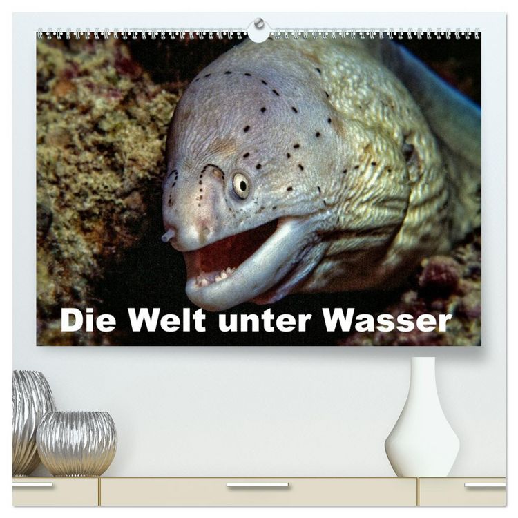 Produktbild: Die Welt unter Wasser (hochwertiger Premium Wandkalender 2026 DIN A2 quer), Kunstdruck in Hochglanz