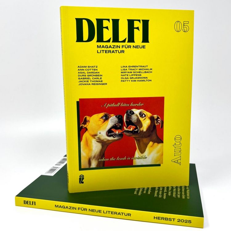 Produktbild: Delfi: Auto
