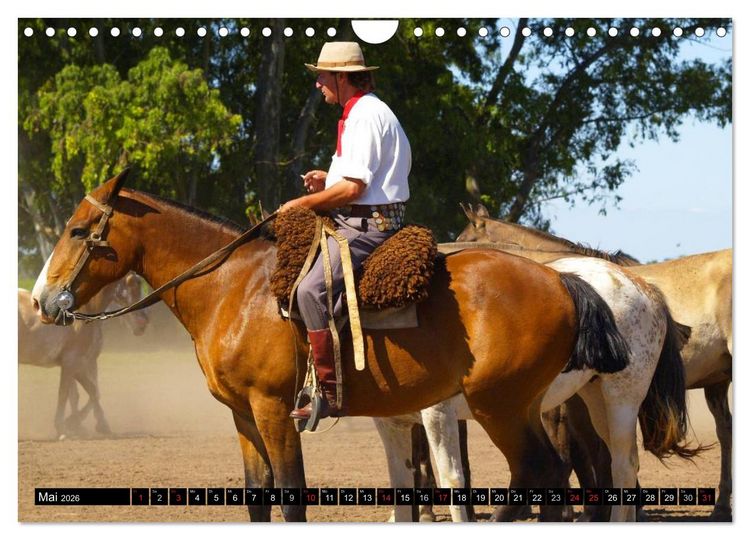 Produktbild: Argentinien - Impressionen (Wandkalender 2026 DIN A4 quer), CALVENDO Monatskalender
