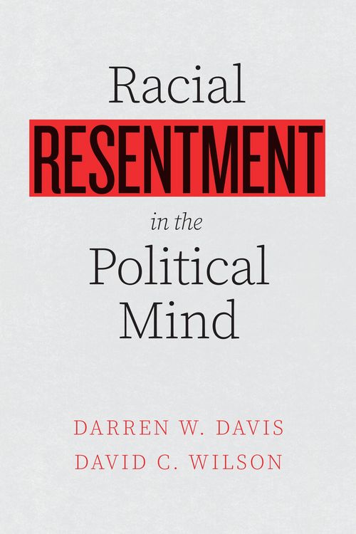 Produktbild: Racial Resentment in the Political Mind