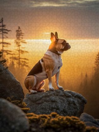 Produktbild: CALVENDO Puzzle Ein Blick in die gro&szlig;e weite Welt | 1000 Teile Lege-Gr&ouml;&szlig;e 64x48cm Foto-Puzzle f&uuml;r gl&uuml;ckliche Stunden