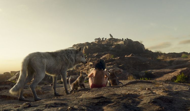 Produktbild: The Jungle Book (4K Ultra HD) (+ Blu-ray 2D)