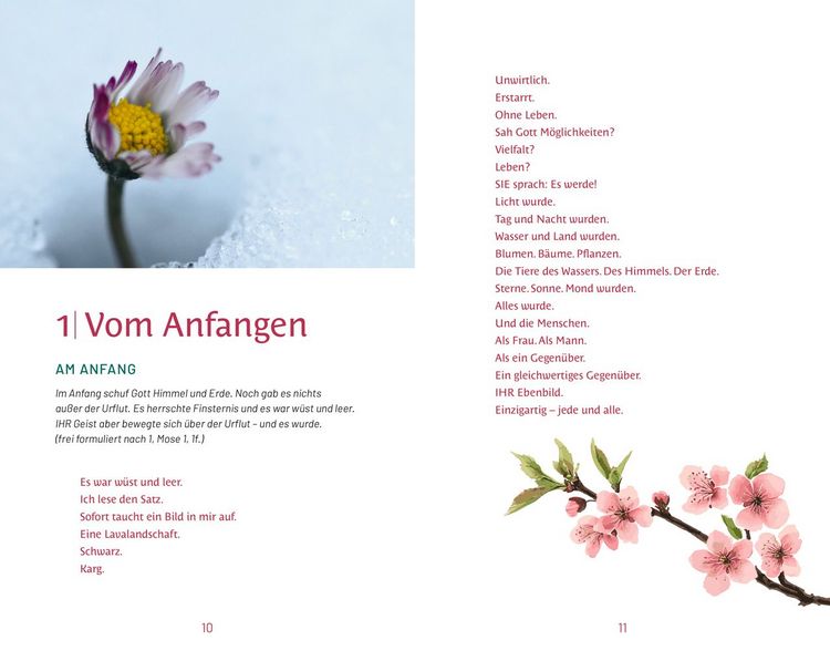 Produktbild: Wenn das Leben Bl&uuml;ten treibt