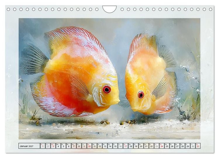 Produktbild: Aquariumfische. Farbenpracht im S&uuml;&szlig;wasserbecken (Wandkalender 2027 DIN A4 quer), CALVENDO Monatskalender