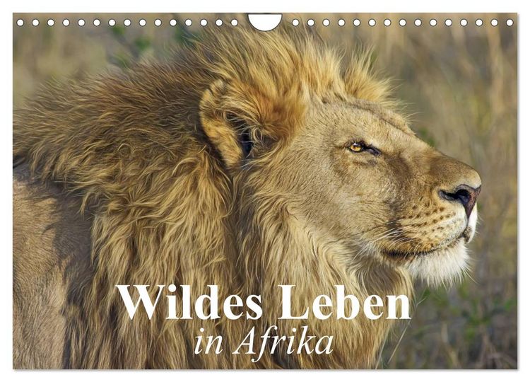 Produktbild: Wildes Leben in Afrika (Wandkalender 2026 DIN A4 quer), CALVENDO Monatskalender
