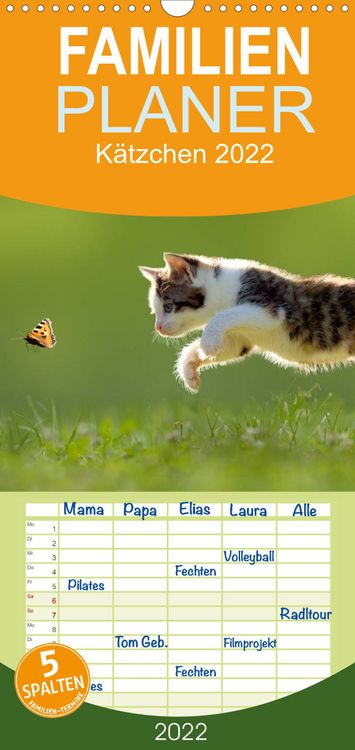 Produktbild: Familienplaner K&auml;tzchen 2022 (Wandkalender 2022 , 21 cm x 45 cm, hoch)