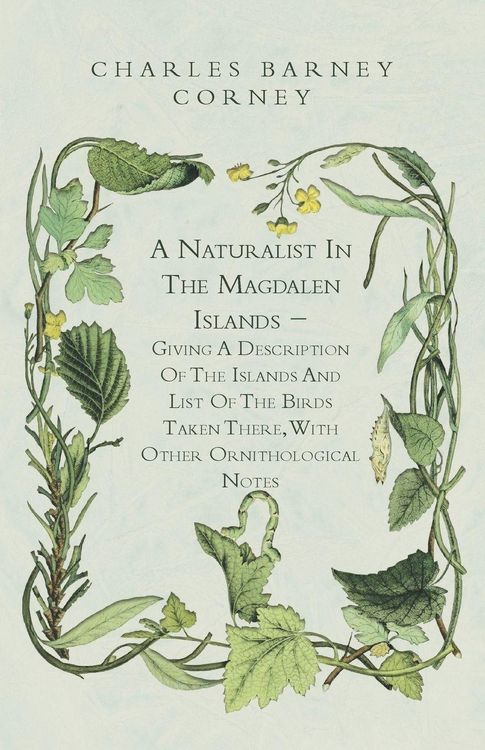 Produktbild: A Naturalist In The Magdalen Islands - Giving A Description Of The Islands And List Of The Birds Taken There, With Other Ornithological Notes