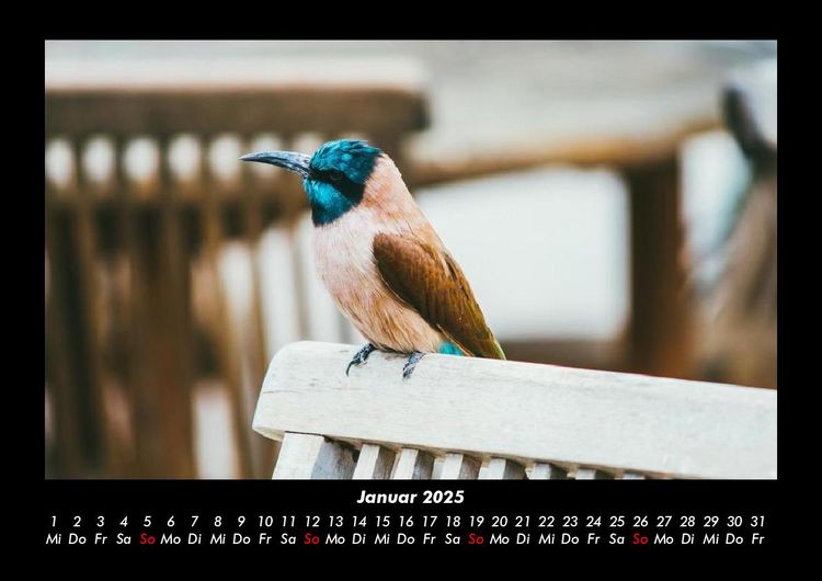 Produktbild: Tierkalender 2025 Fotokalender DIN A3