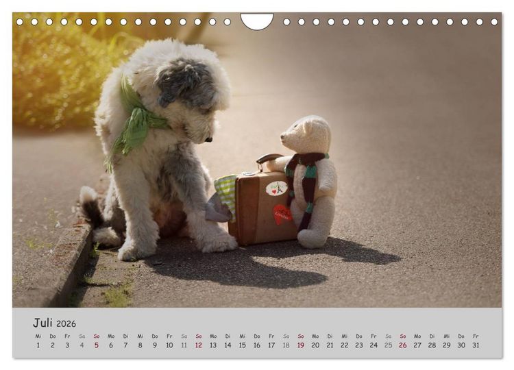 Produktbild: Ein Bobtail namens Miles (Wandkalender 2026 DIN A4 quer), CALVENDO Monatskalender