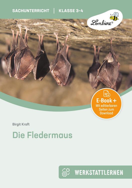 Produktbild: Die Fledermaus