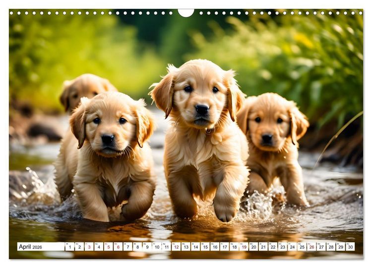 Produktbild: Begeisterte Wasserratten (Wandkalender 2026 DIN A3 quer), CALVENDO Monatskalender