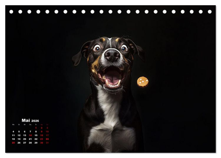Produktbild: Leckerchen! (Tischkalender 2026 DIN A5 quer), CALVENDO Monatskalender