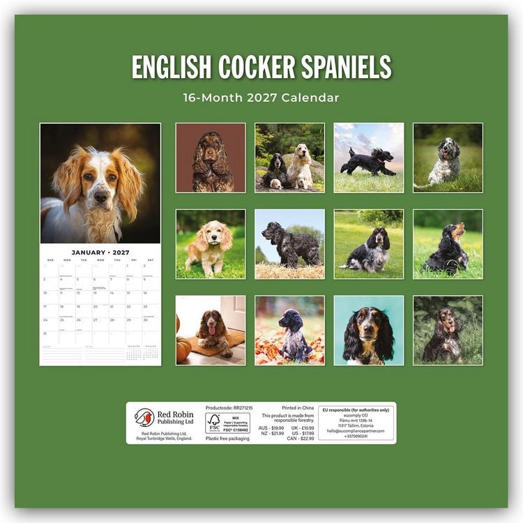 Produktbild: English Cocker Spaniels &ndash; Englisch Cocker Spaniel 2027 &ndash; 16-Monatskalender