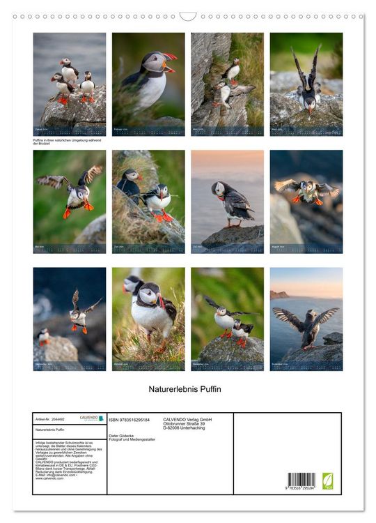 Produktbild: Naturerlebnis Puffin (Wandkalender 2026 DIN A2 hoch), CALVENDO Monatskalender