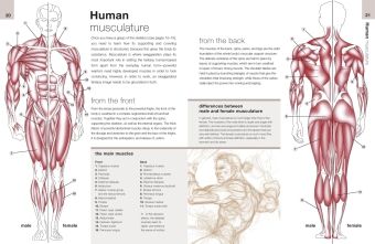 Produktbild: Anatomy for Fantasy Artists