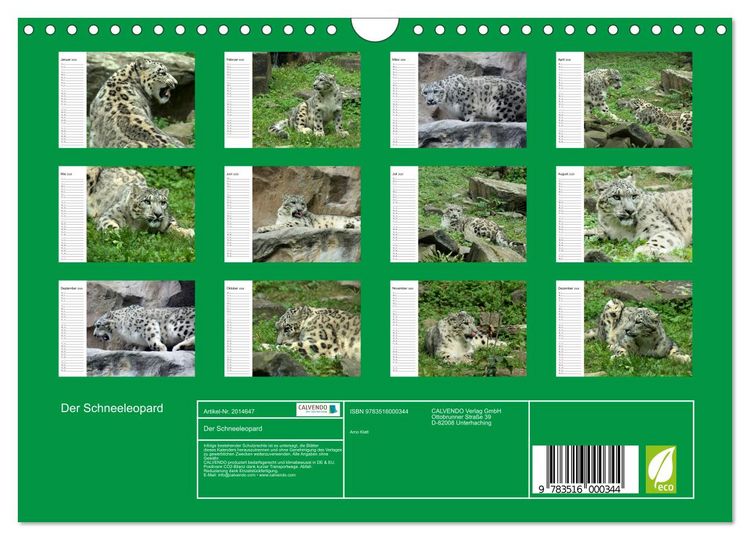 Produktbild: Der Schneeleopard (Wandkalender 2026 DIN A4 quer), CALVENDO Monatskalender