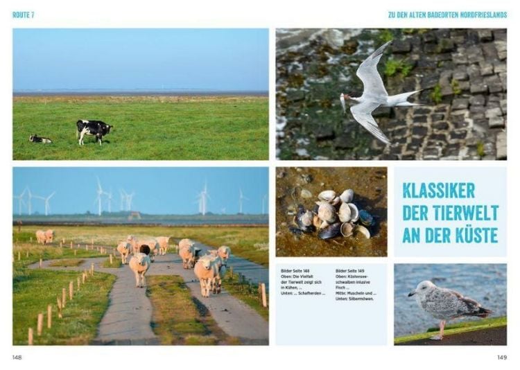 Produktbild: Nordseek&uuml;ste mit dem Wohnmobil