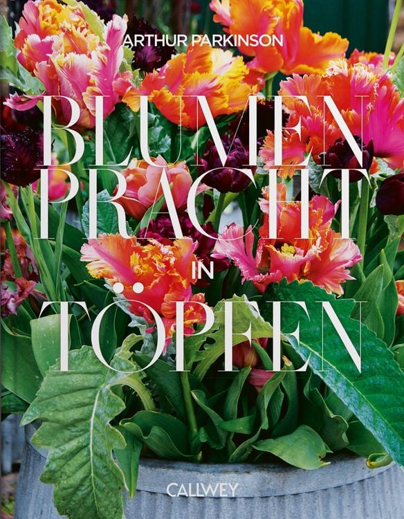 Produktbild: Blumenpracht in T&ouml;pfen